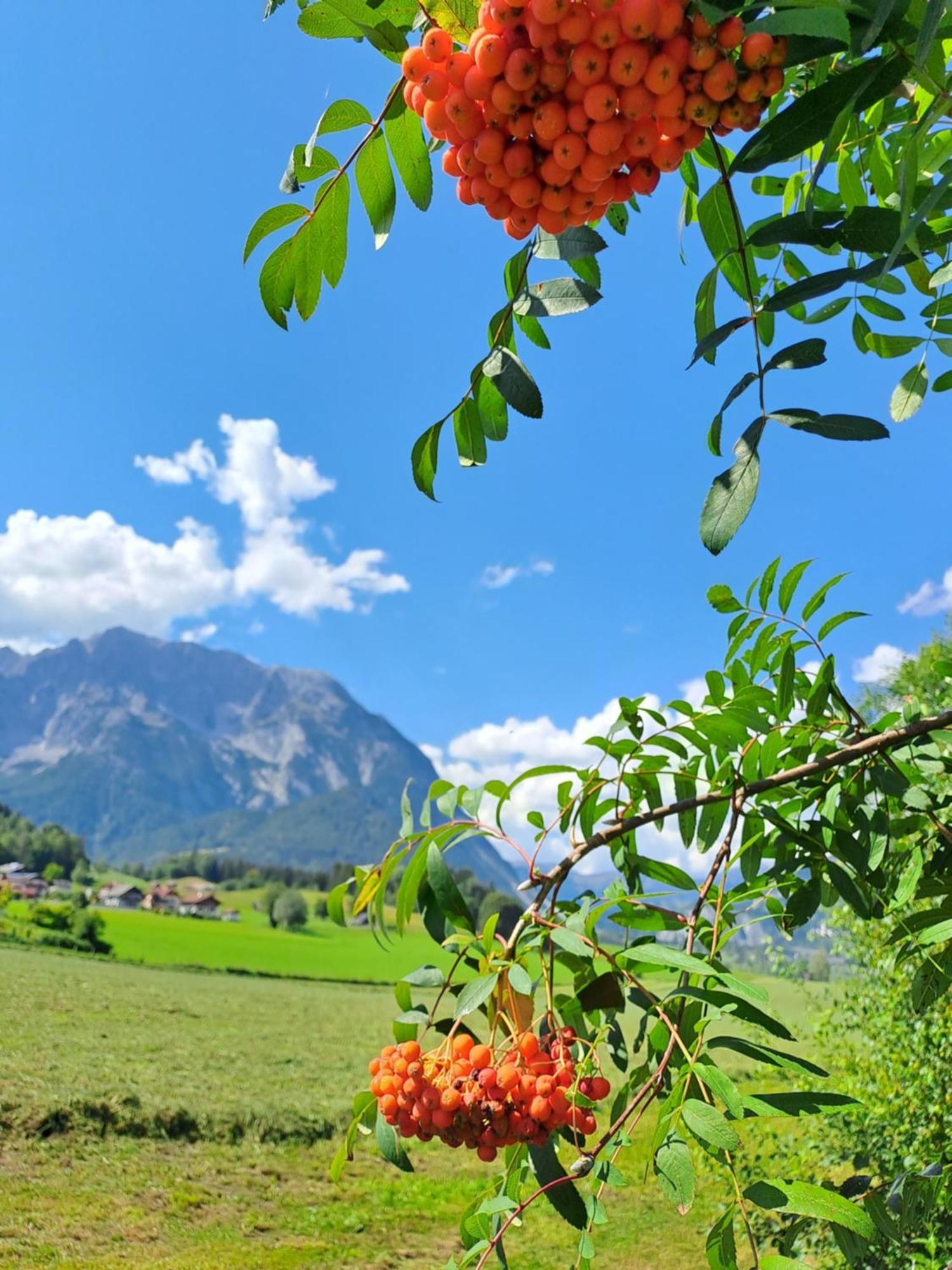 Urlaub Im Stall Irdning Exterior photo
