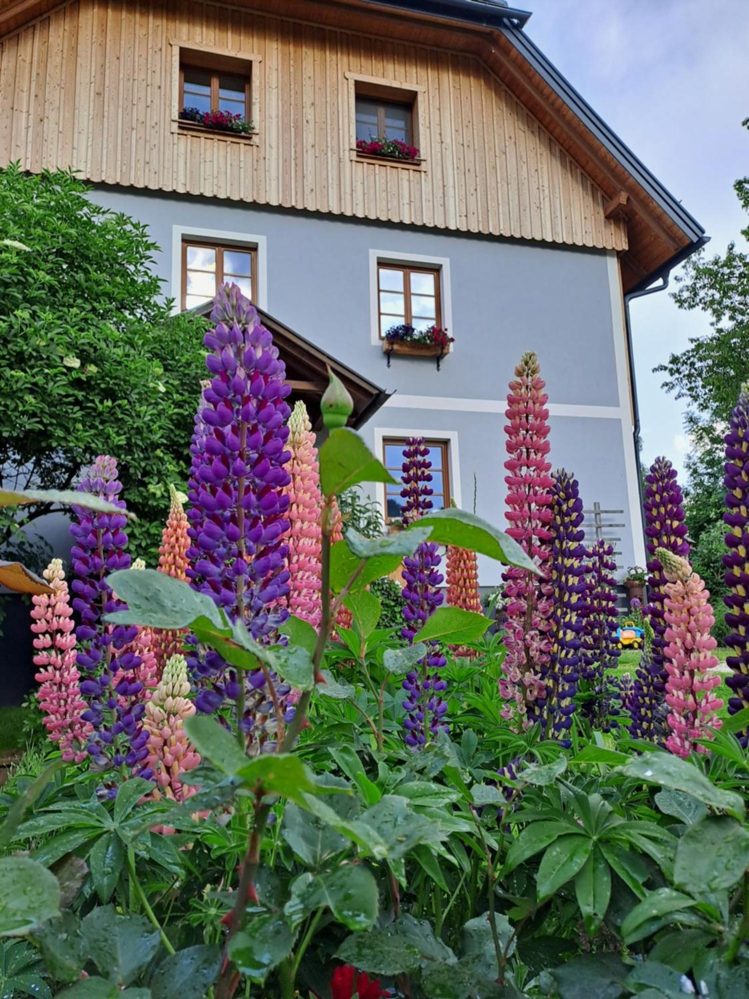Urlaub Im Stall Irdning Exterior photo
